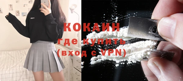 крисы Богданович