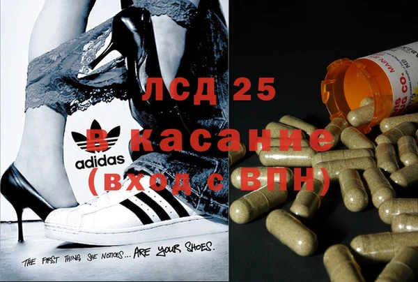 крисы Богданович