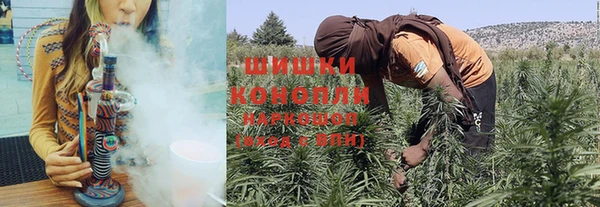 мескалин Богородицк