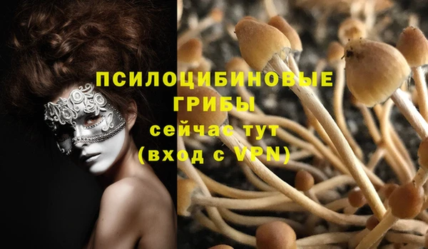 мескалин Богородицк