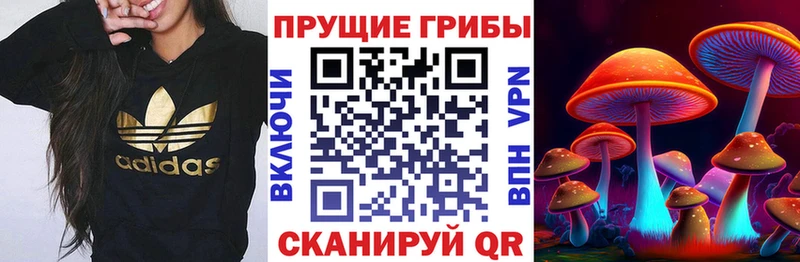Псилоцибиновые грибы Magic Shrooms продажа наркотиков KRAKEN ССЫЛКА Невьянск